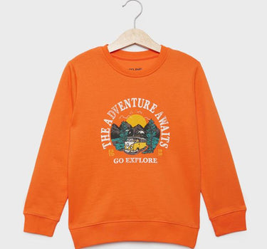 Printed Cotton Crew Neck Boys Sweatshirt