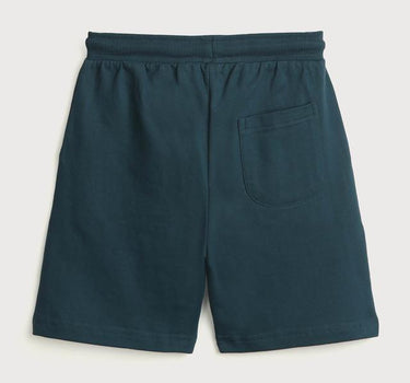 Solid Cotton Regular Fit Boys Shorts