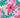 Printed Cotton Regular Fit Girls Shorts