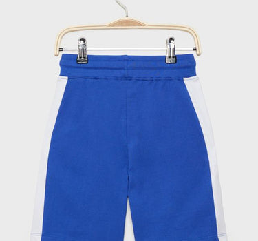 Solid Cotton Regular Fit Boys Shorts