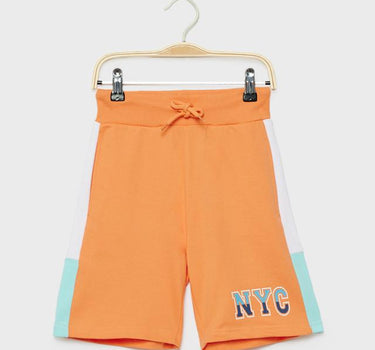 Printed Cotton Regular Fit Boys Shorts