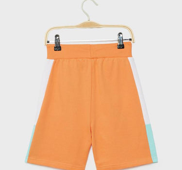 Printed Cotton Regular Fit Boys Shorts