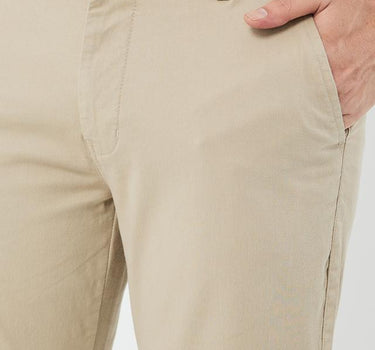 Solid Cotton Regular Fit Men's Chinos