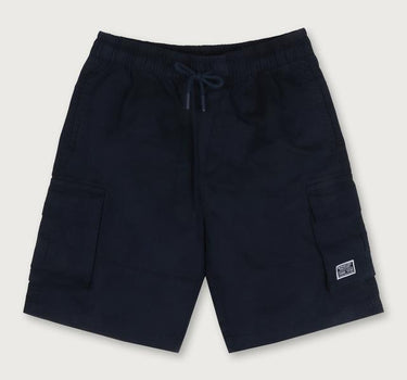 Solid Cotton Regular Fit Boys Shorts