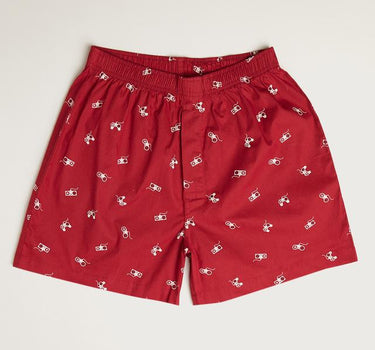 Cotton Regular Men's Printed Boxer